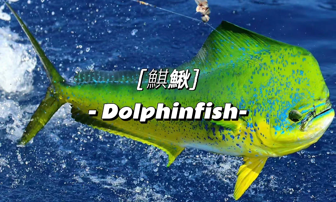 沂(怮?e?